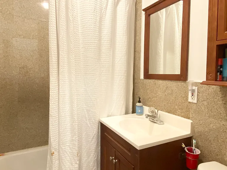 55 E Houston St #3W — Photo 4