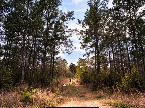 6785 Fm 1003 Rd N, Kountze, TX 77625