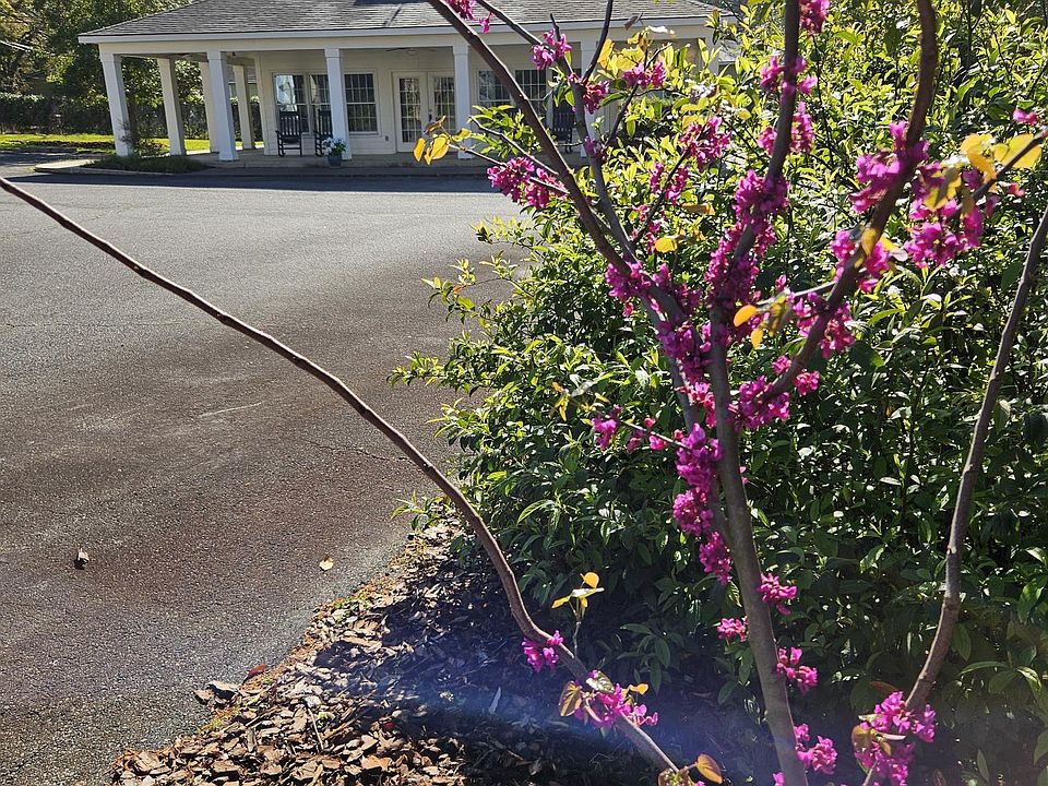 Clubhouse and redbud, Virginia Place Apartments in the Historic District, Tifton, Georgia