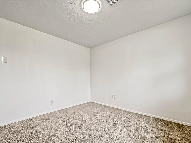 4418 Knotty Oaks Trl — Photo 36