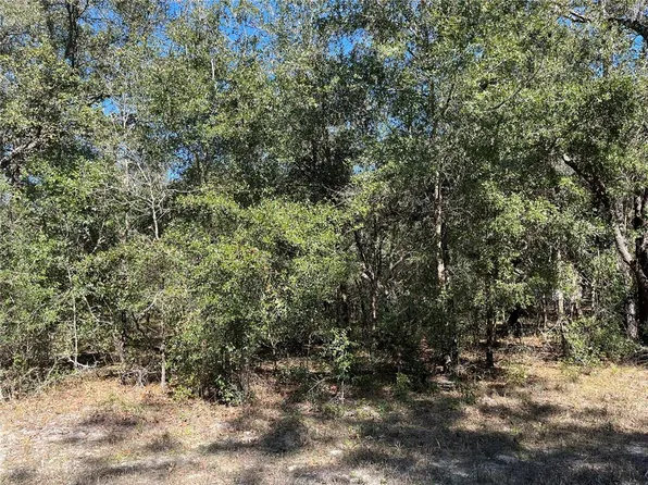 8189 W Carlos Ln #71, Crystal River, FL 34428