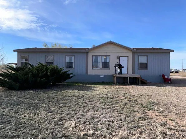 60 Carson City Rd, Dexter, NM 88230