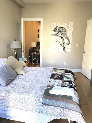 Rented by Alpha Properties NYC I LLC | media 61