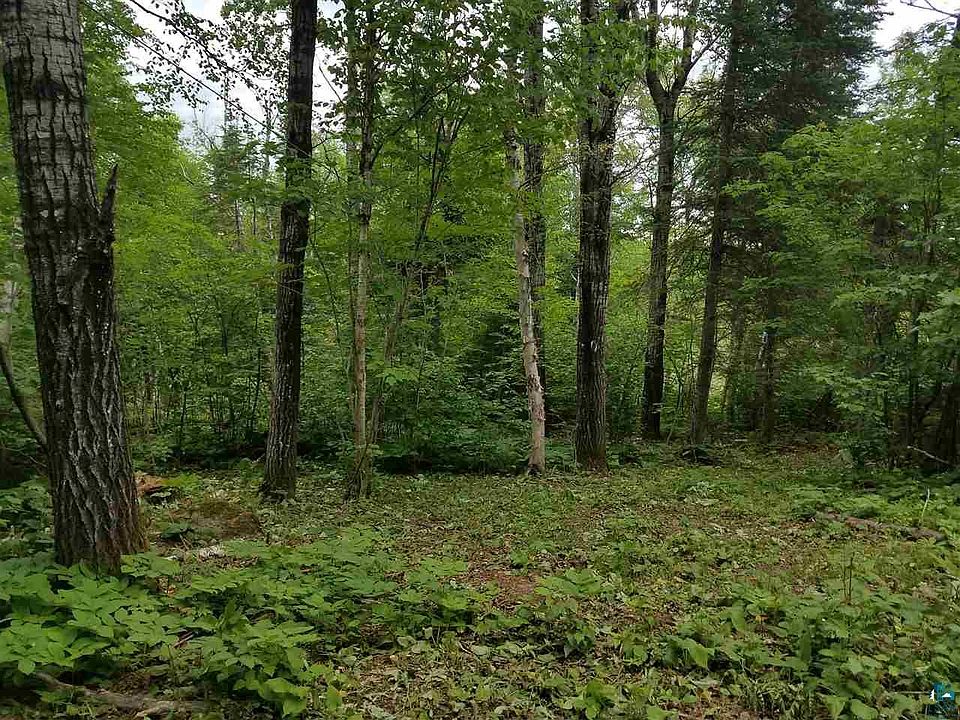 1st image of 251 County Road 60