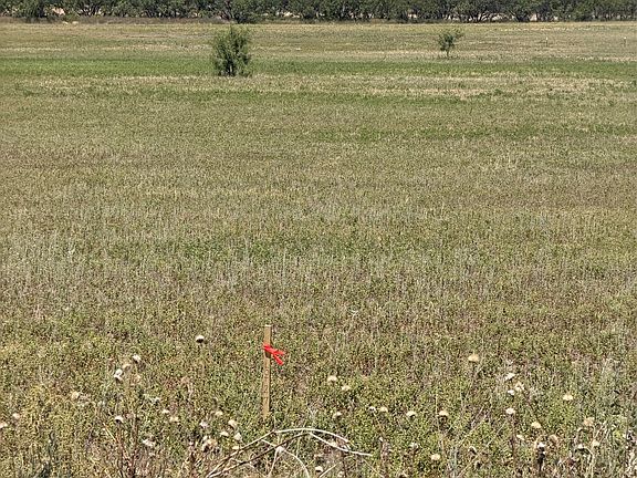 5th image of LOT 25 County Road 497