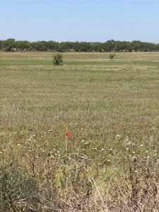 LOT 27 County Road 497, Anson, TX, 79501