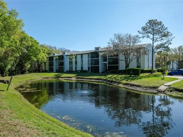 1308 Pine Ridge Cir E APT G3, Tarpon Springs, FL 34688