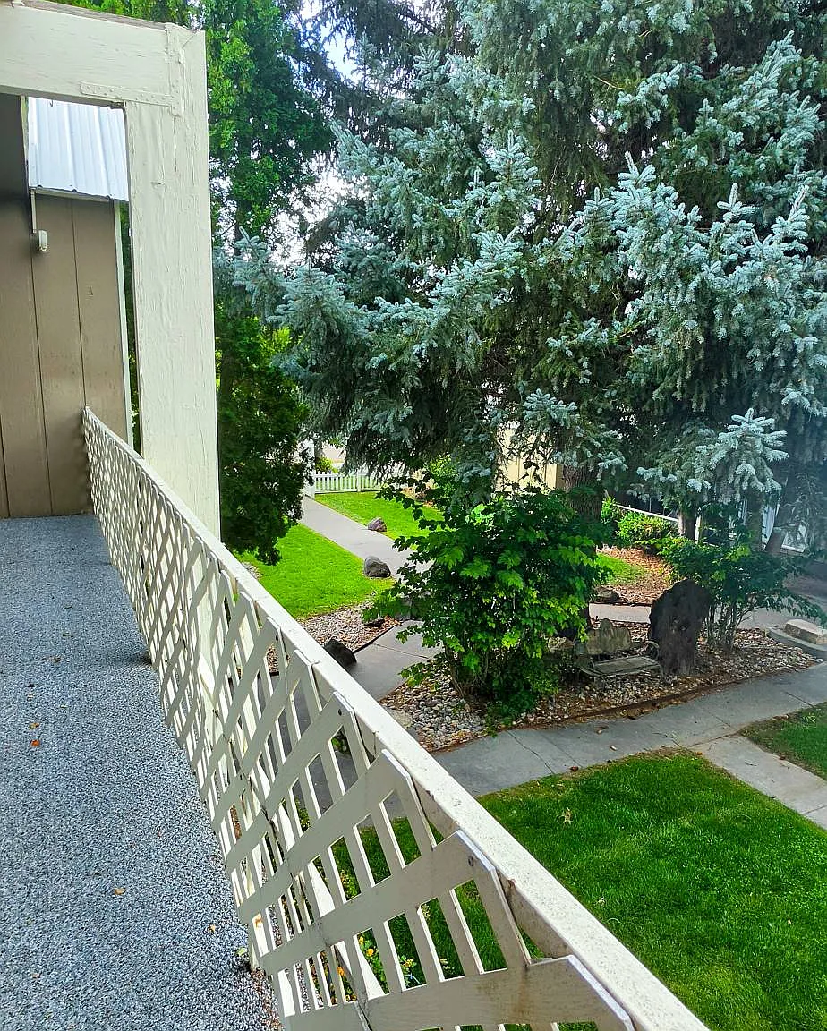 650 Gladstone Street - 4 — Photo 4