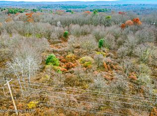 Stairville Rd, Mountain Top, PA 18707