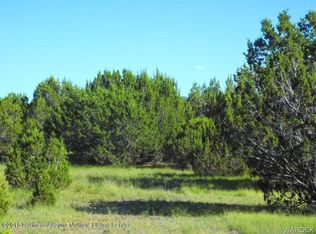 164 E Riverside Dr, Williams, AZ 86046