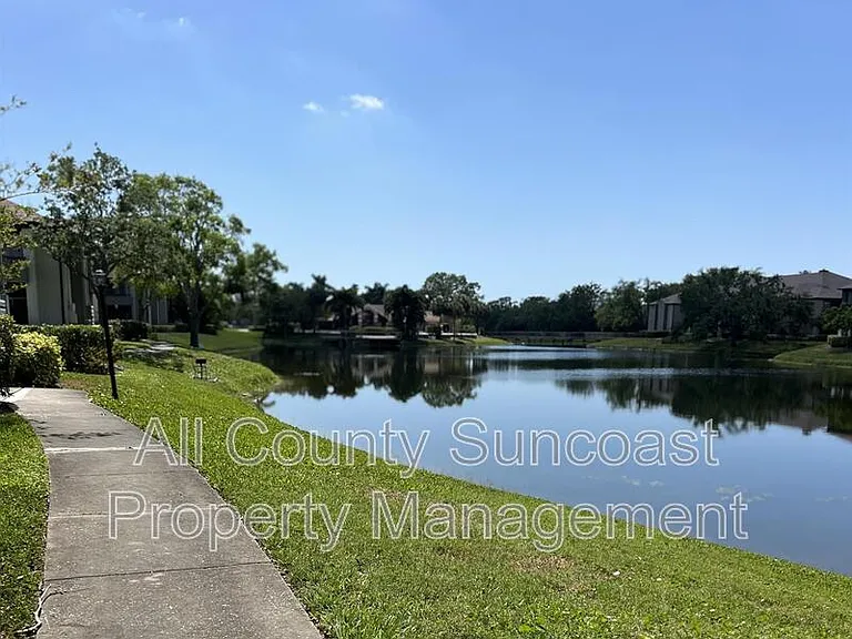 10263 Gandy Blvd N #409 — Photo 10