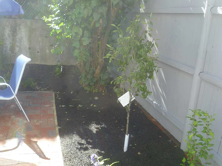 Hobson St — Photo 22