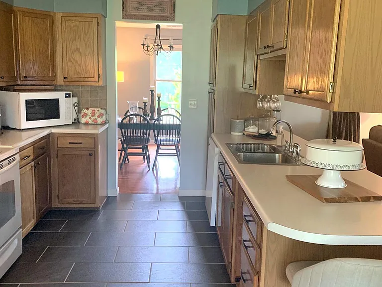 541 N Holston River Dr — Photo 8