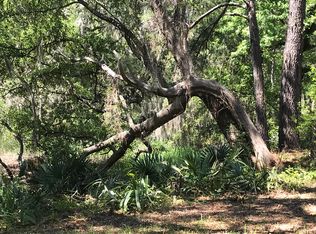 2907 River Rd, Johns Island, SC 29455