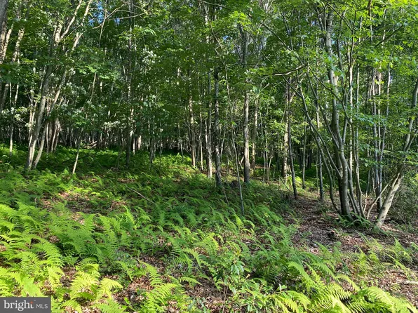 Thorn Bottom Rd, Lost City, WV 26810