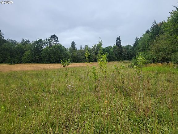 4th image of 0 Evans Rd