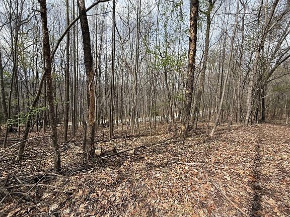 3rd image of 0 Back Creek Rd