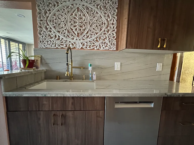 Deep sink feature flexible-hose nozzle and newly purchased dishwasher (2025).