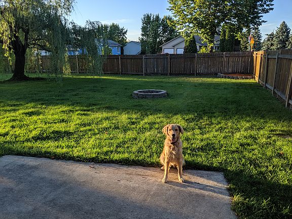Your dogs will love this backyard
