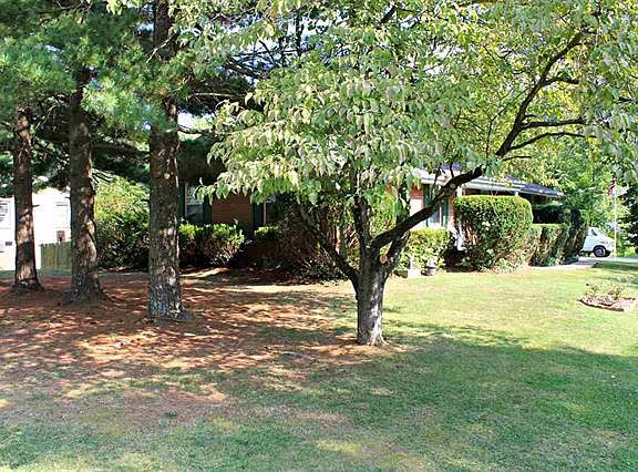 2nd image of 725 Rose Dr