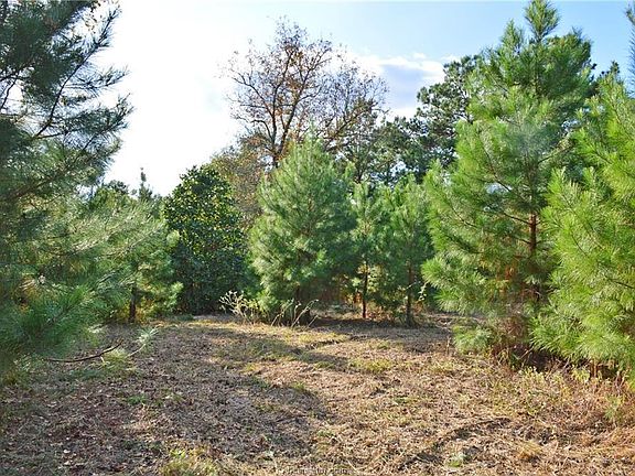 5th image of 4650 Evergreen Forest Ln