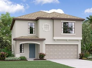 14804 Diamond View Pl, Wimauma, FL 33598