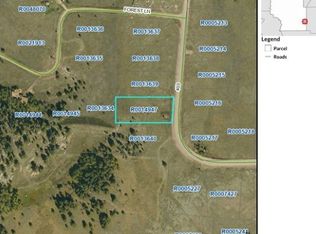 1181 County Road 403, Lake George, CO 80827