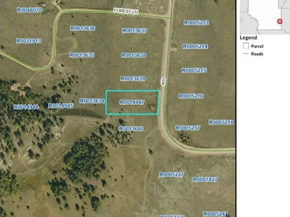1181 CO ROAD 403, Lake George, CO 80827