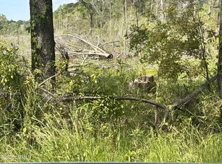 0 Lowcountry Dr, Ridgeland, SC 29936