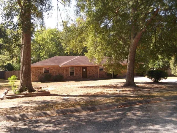 20 Chestnut Cir, Jasper, TX 75951