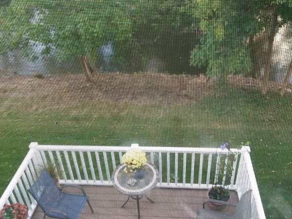 View from Master Bedroom 1