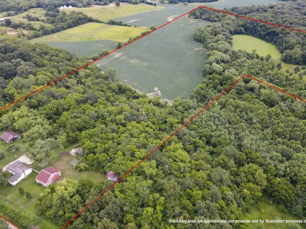 28334 Pleasant Dale Rd, Girard, IL 62640