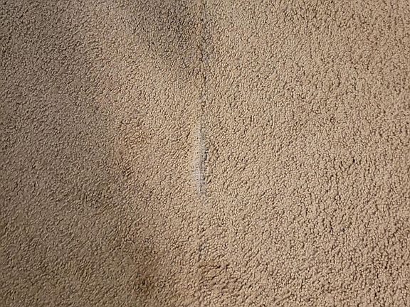 4th image of 1043 NE Lilac St APT 102