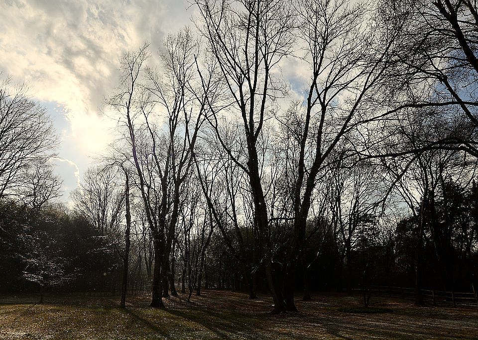 2nd image of 4590 Province Line Rd