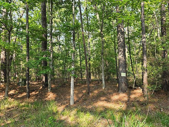 3rd image of 395 Deergrass Dr