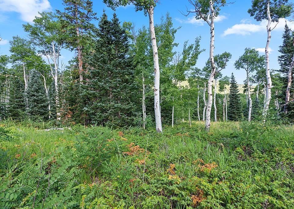 1st image of Aspen Cir