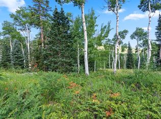 Aspen Cir, La Veta, CO 81055