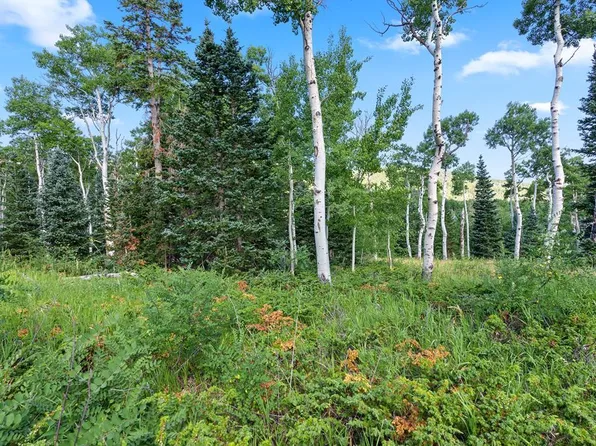 Aspen Cir, La Veta, CO 81055