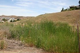 2nd image of 8886 Wheelton Rd