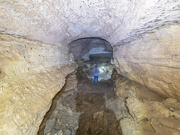 54th image of this home