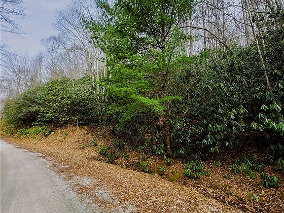 5th image of 118 Deergrass Road