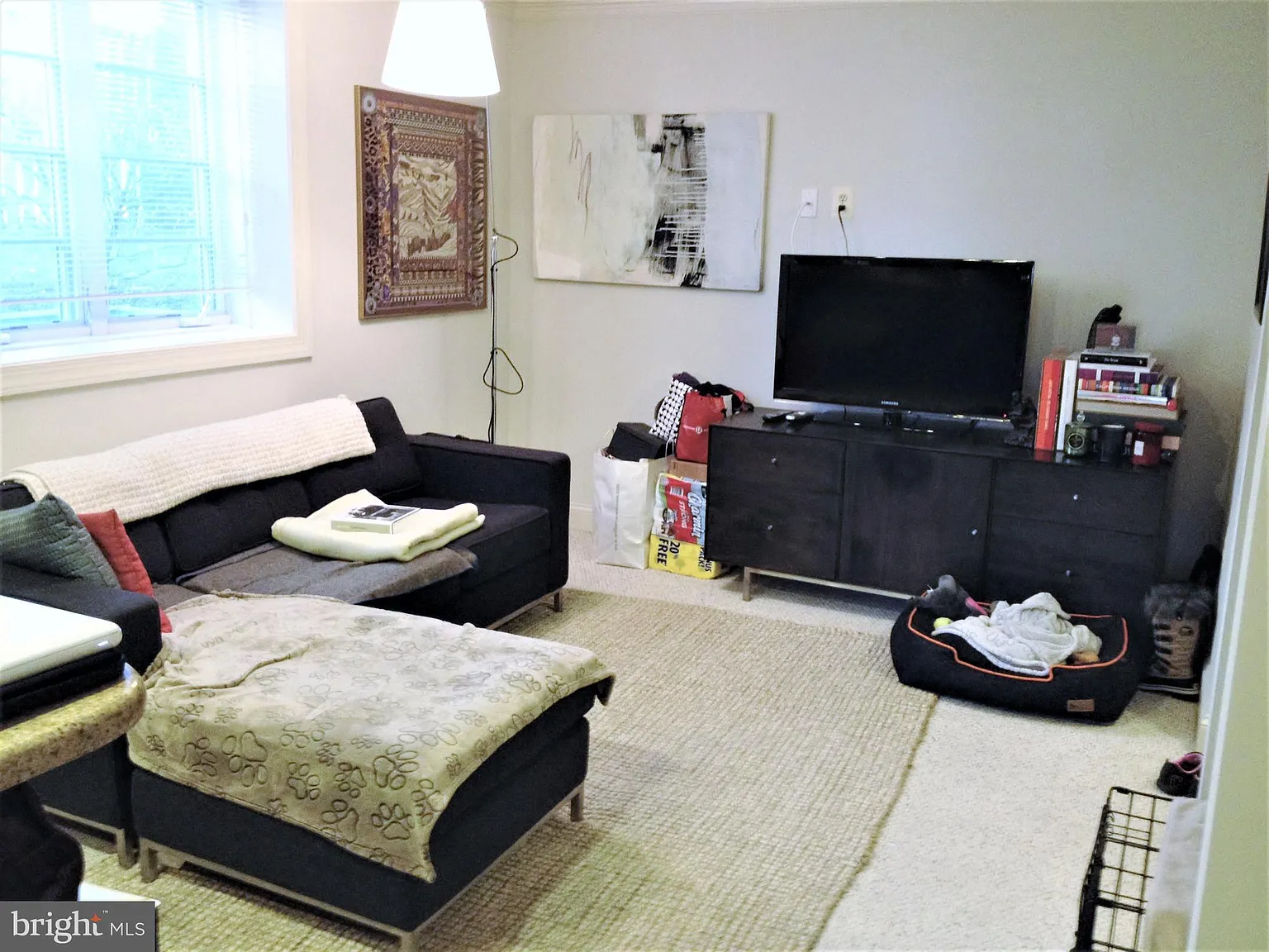 1219 Oronoco Street — Photo 2