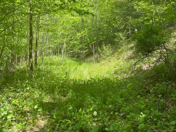 1300 Wolf Run Rd, Duck, WV 25063