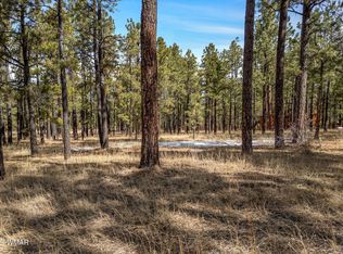 3 N 1062nd, Greer, AZ 85927