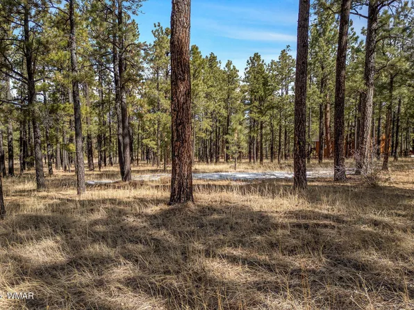 3 N 1062nd, Greer, AZ 85927