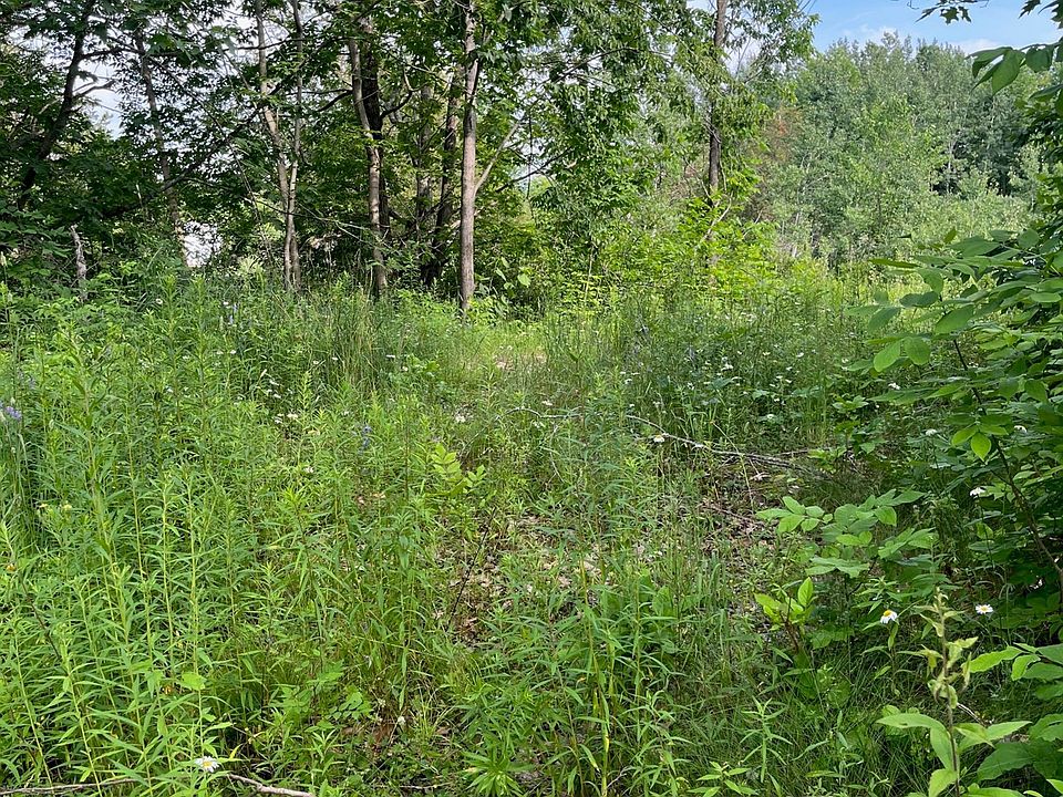2nd image of 0 Concession St Lot 14