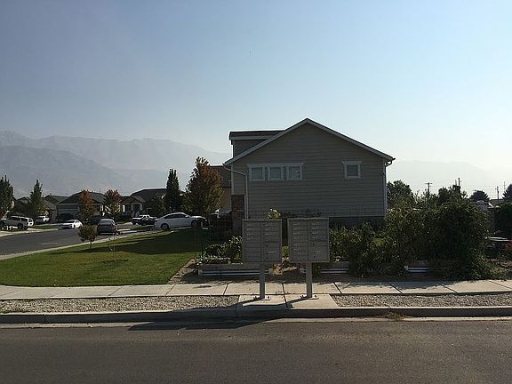 Garden area. Huge side yard!