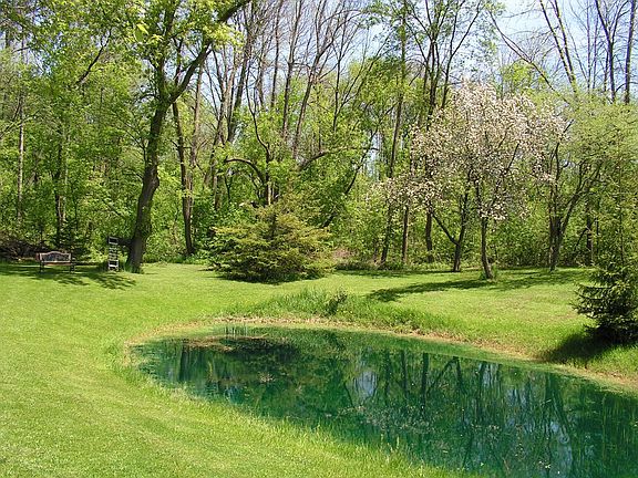 small pond & creek