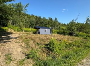 Dublin Rd #2, Salamanca, NY 14779