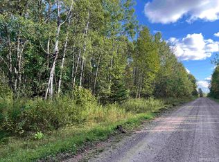 4 Settlement Rd, Long Lake, WI 54542